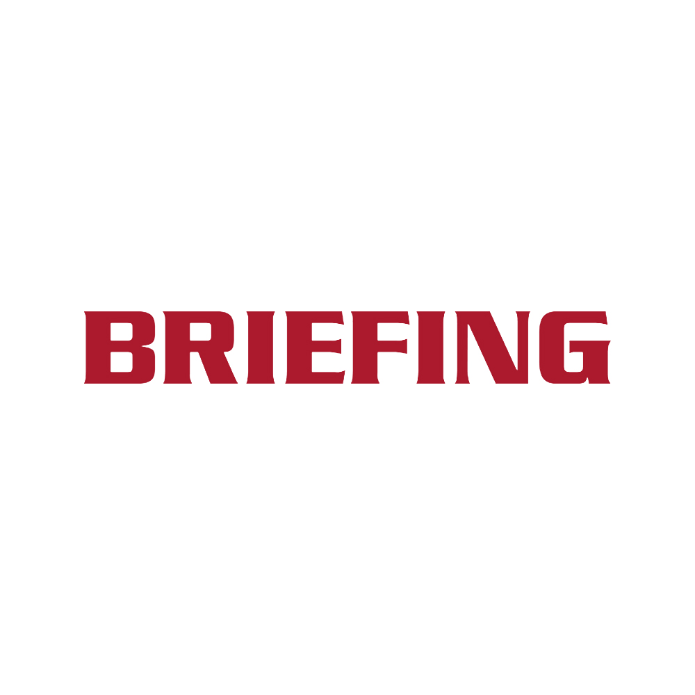 BRIEFING