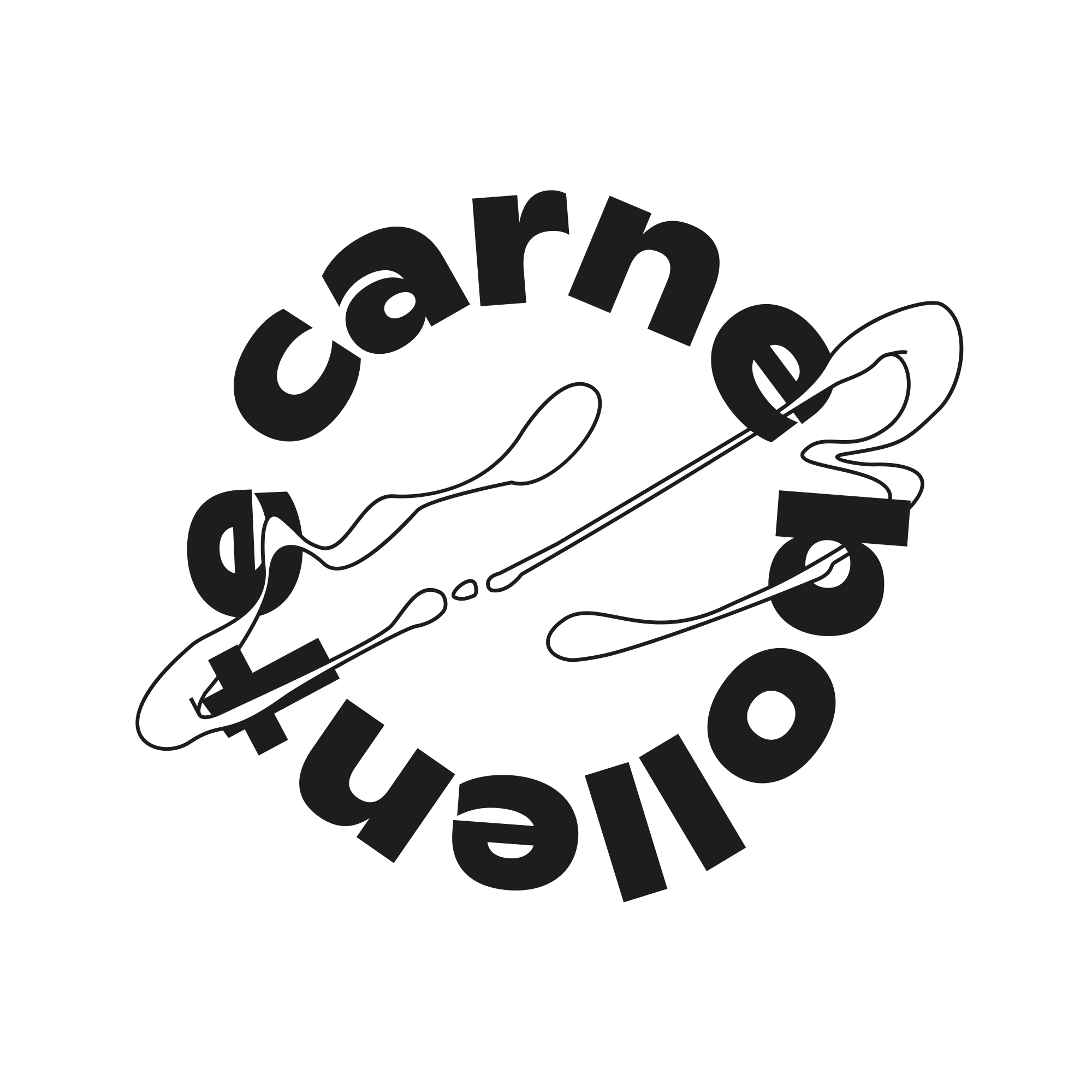 CARNE BOLLENTE