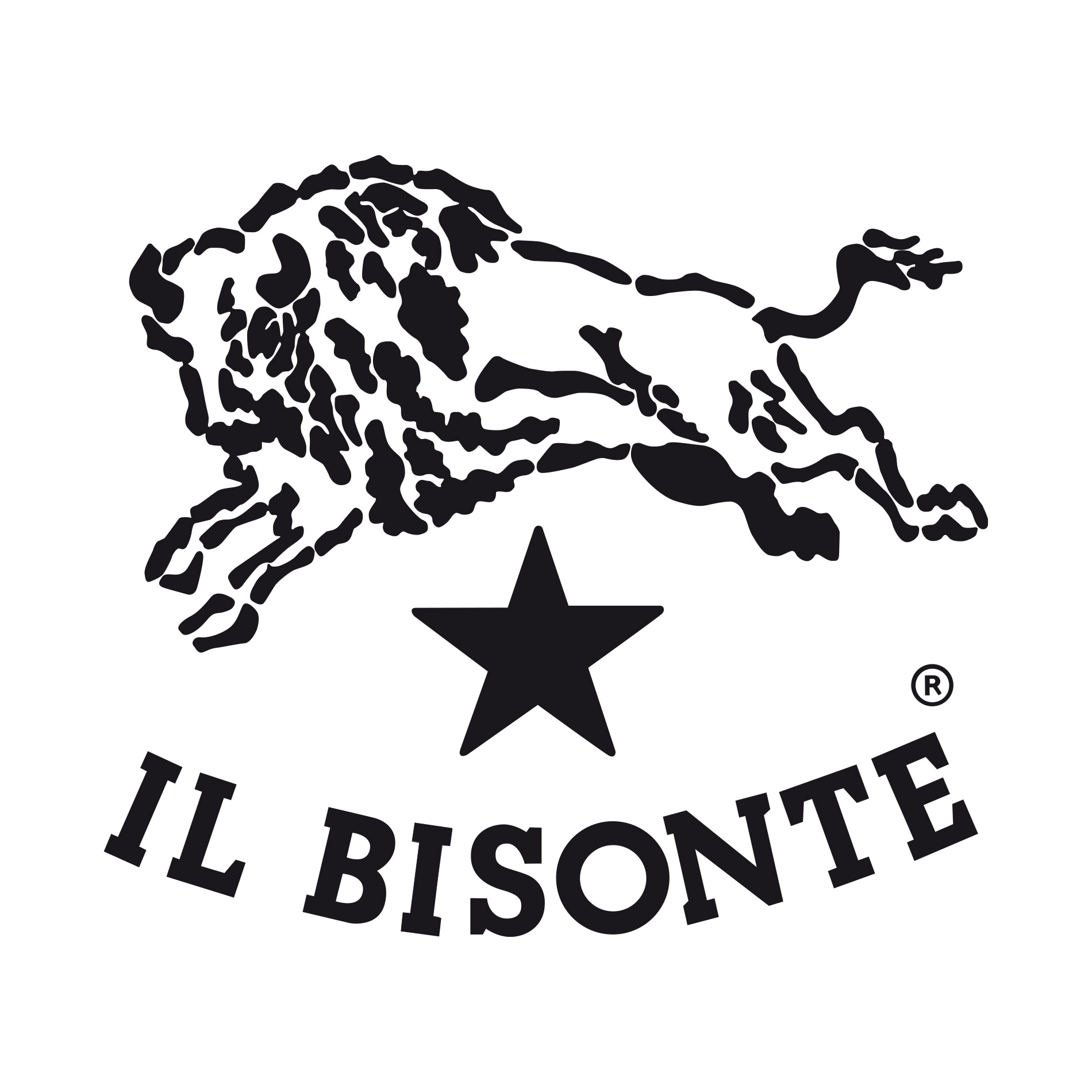 IL BISONTE