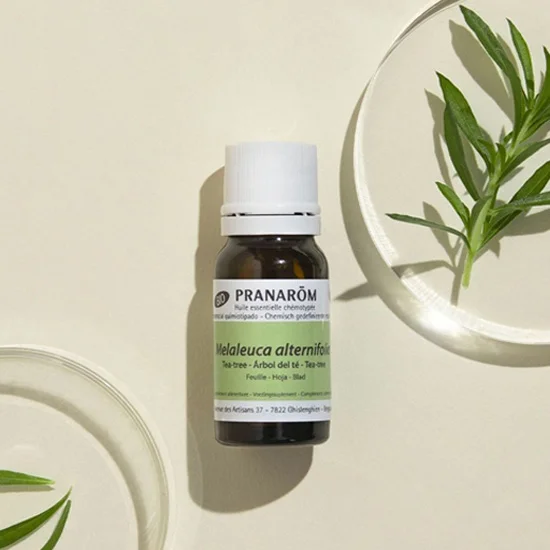 Pranarom 茶樹 油 10ml
