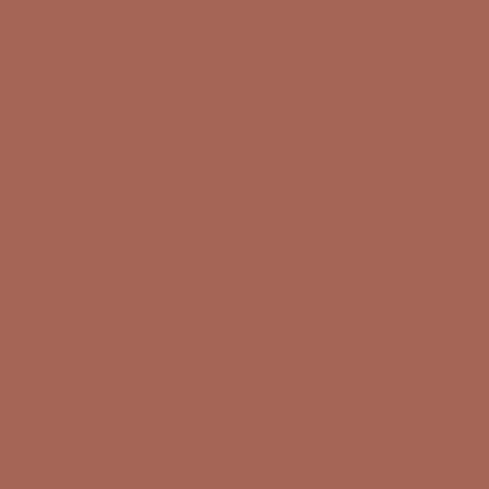 三文魚色 棕色(SALMON BROWN)