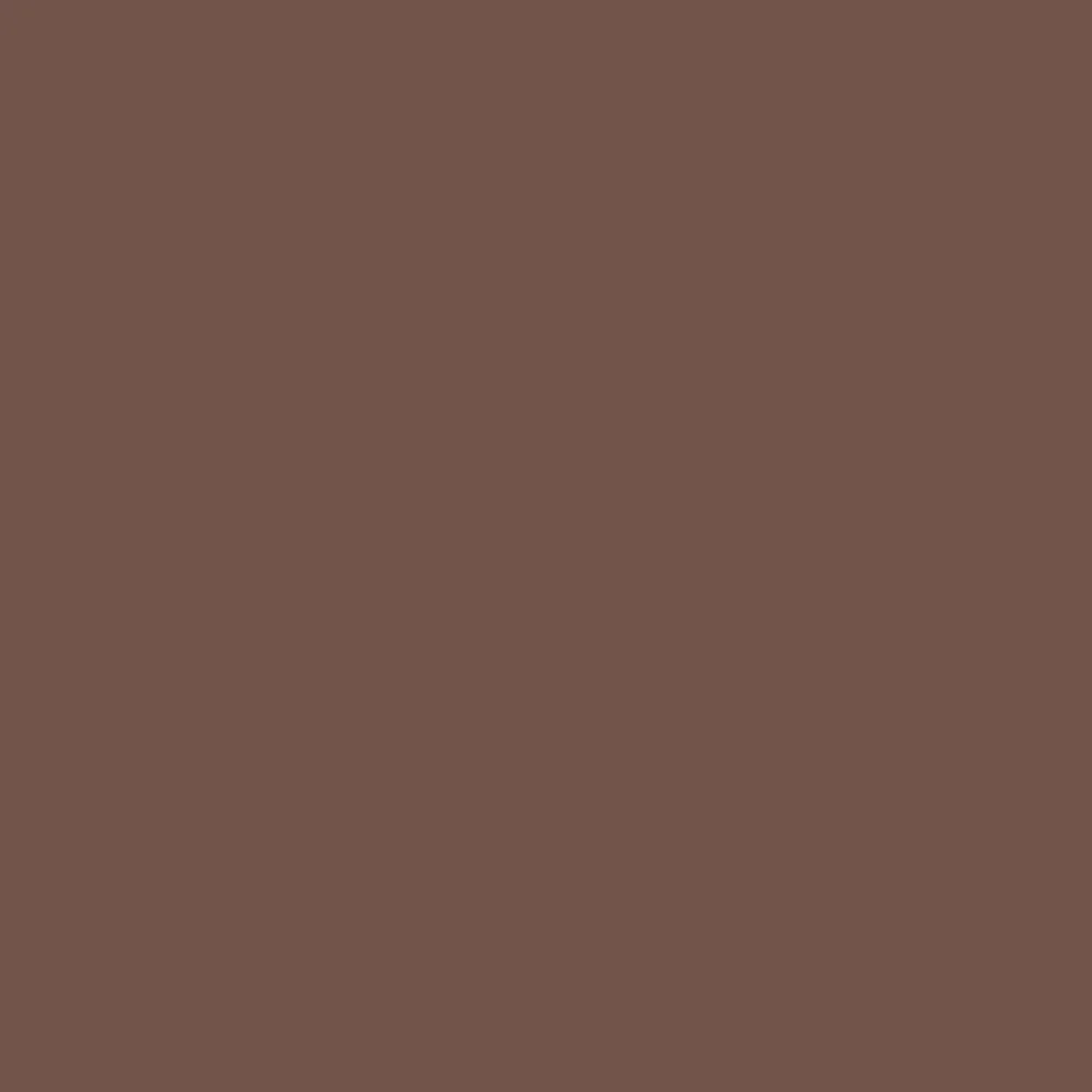 摩卡色 棕色(MOCHA BROWN)