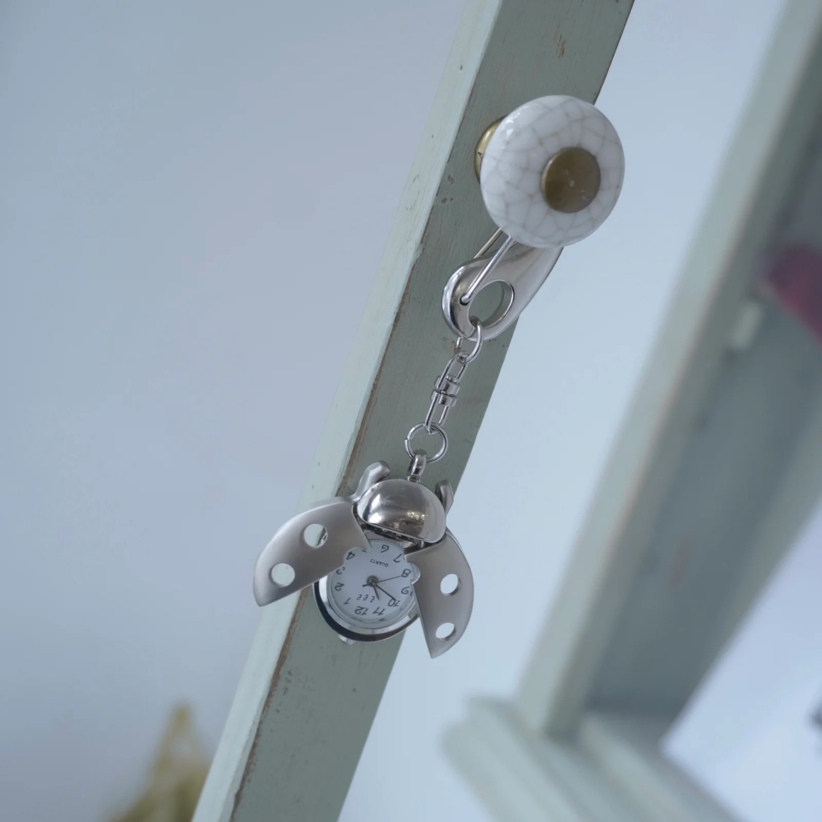 Ladybug Keyring