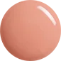(單品) 校色 Salmon