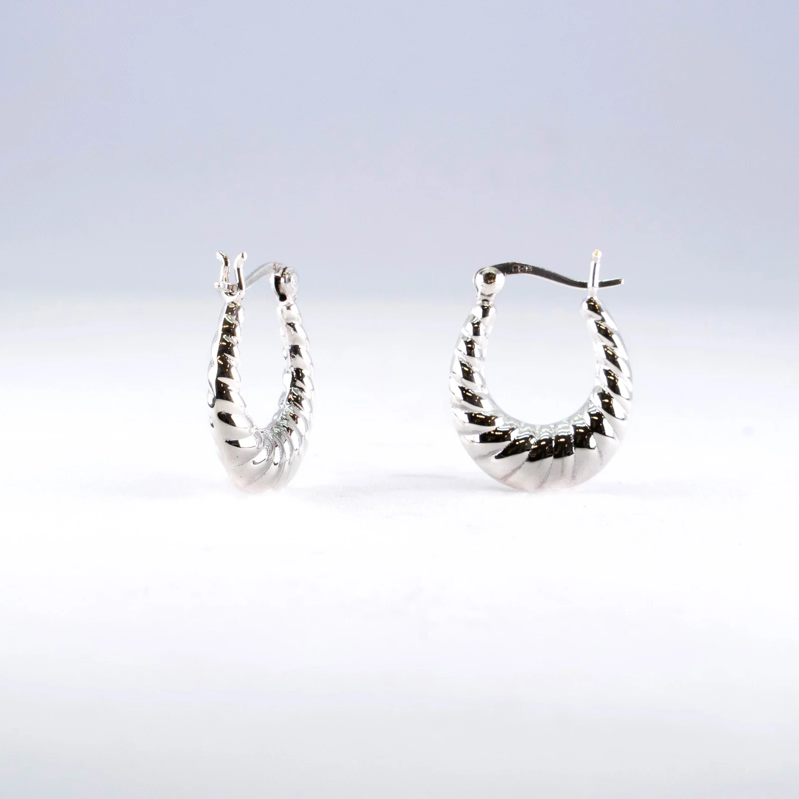 HR 272E_Silver Earring (Silver 925)