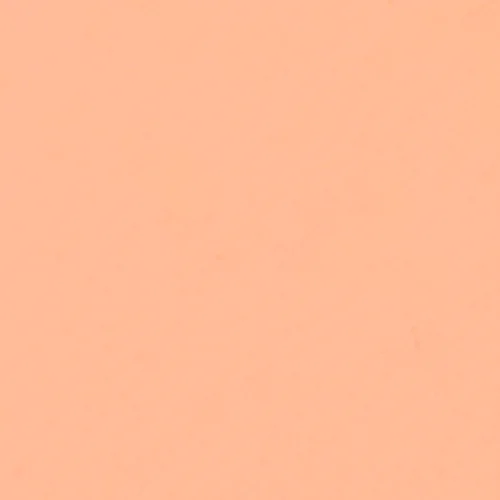 [深色 遮瑕] 03 Salmon Beige