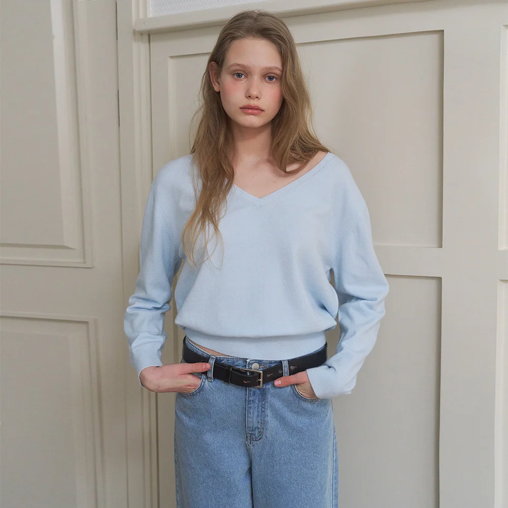 A WASHABLE V-NECK KNIT TOP_LIGHT BLUE