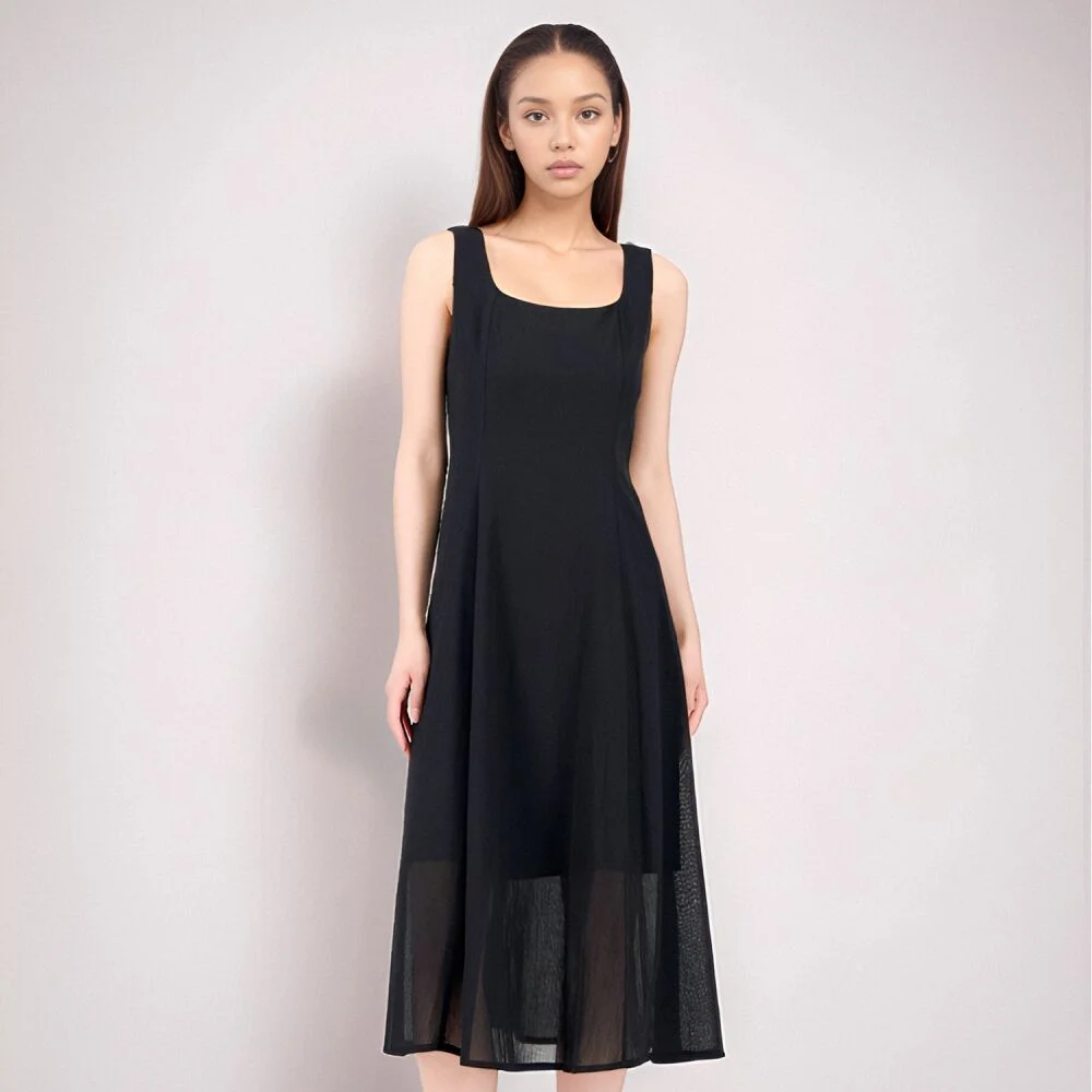 Sleeveless Sheer Dress _Black