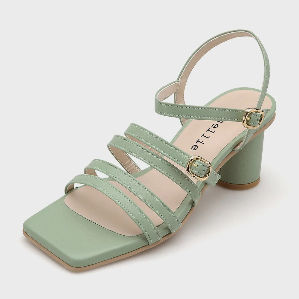 Arion AM211151