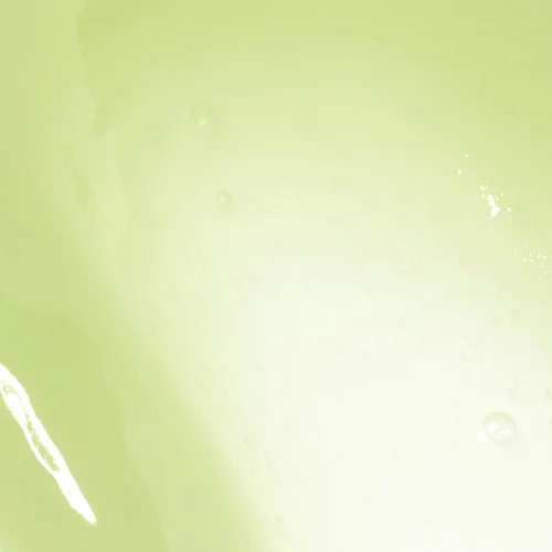 (SPF/防曬) 牛油果色 椰子色