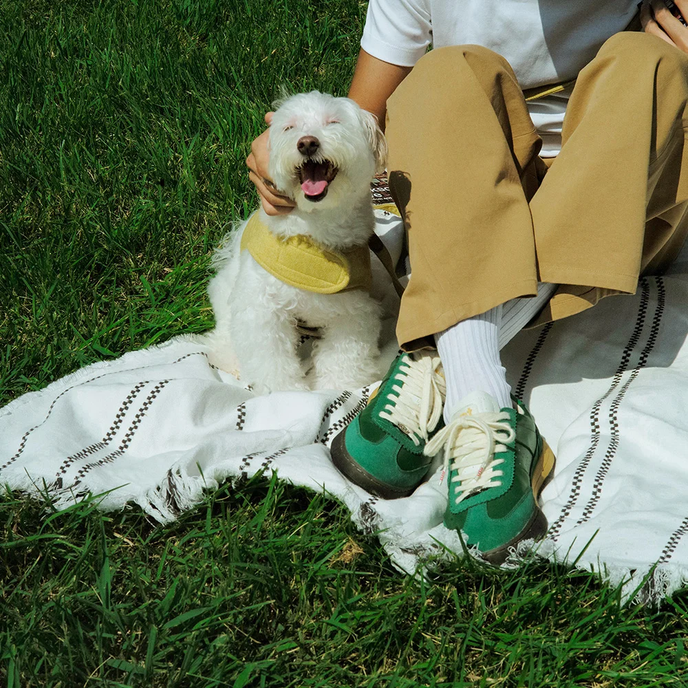 DIEGO (GREEN/D.GREEN)