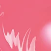 05 Tender 蜜桃 In Like
