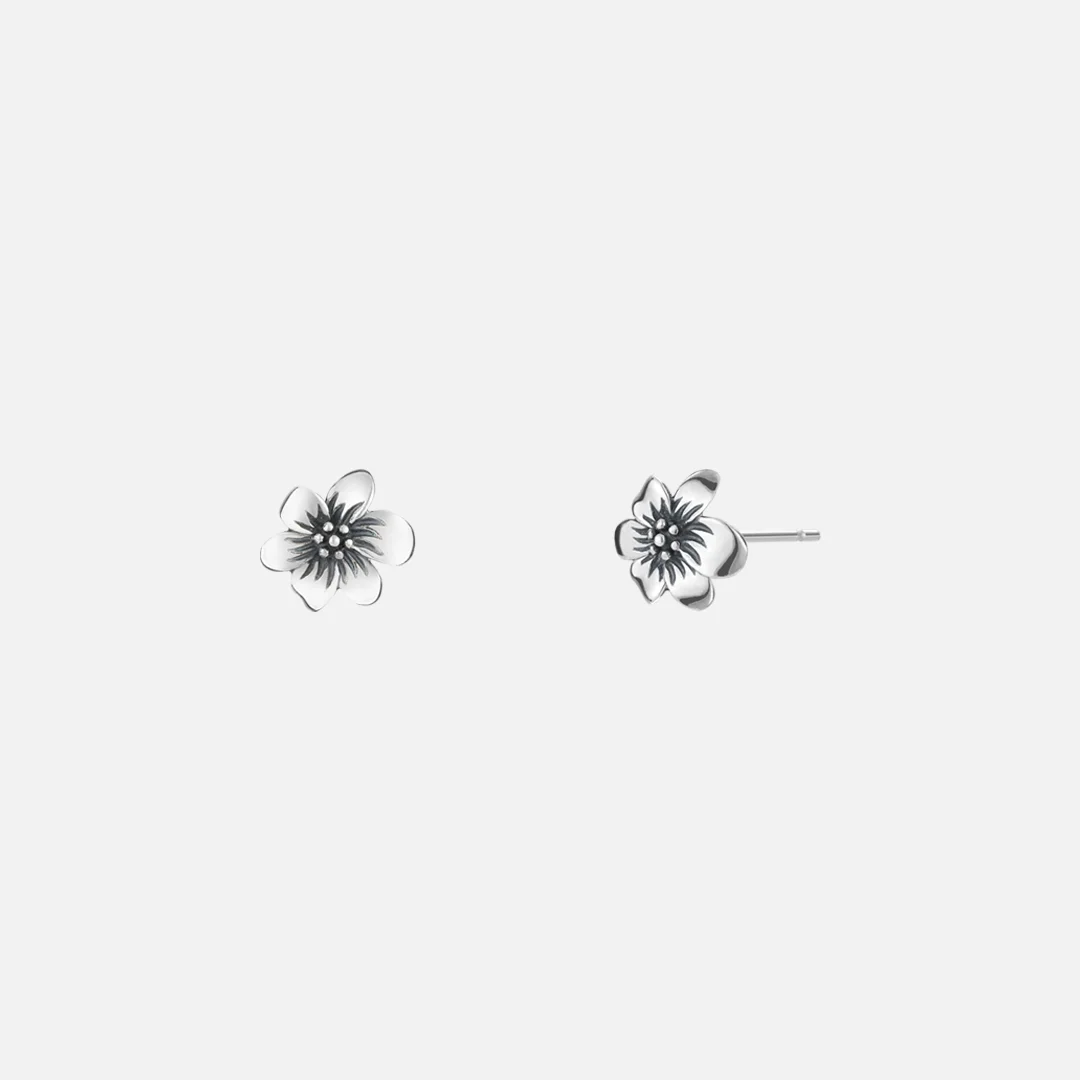 corolla earrings-black silver