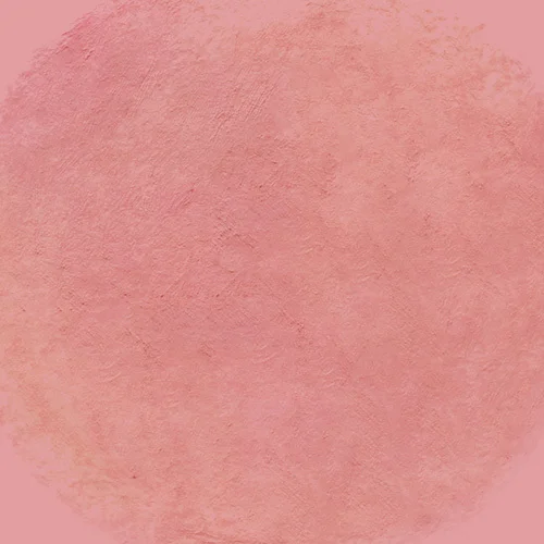 13 D Dolly Rose (On)