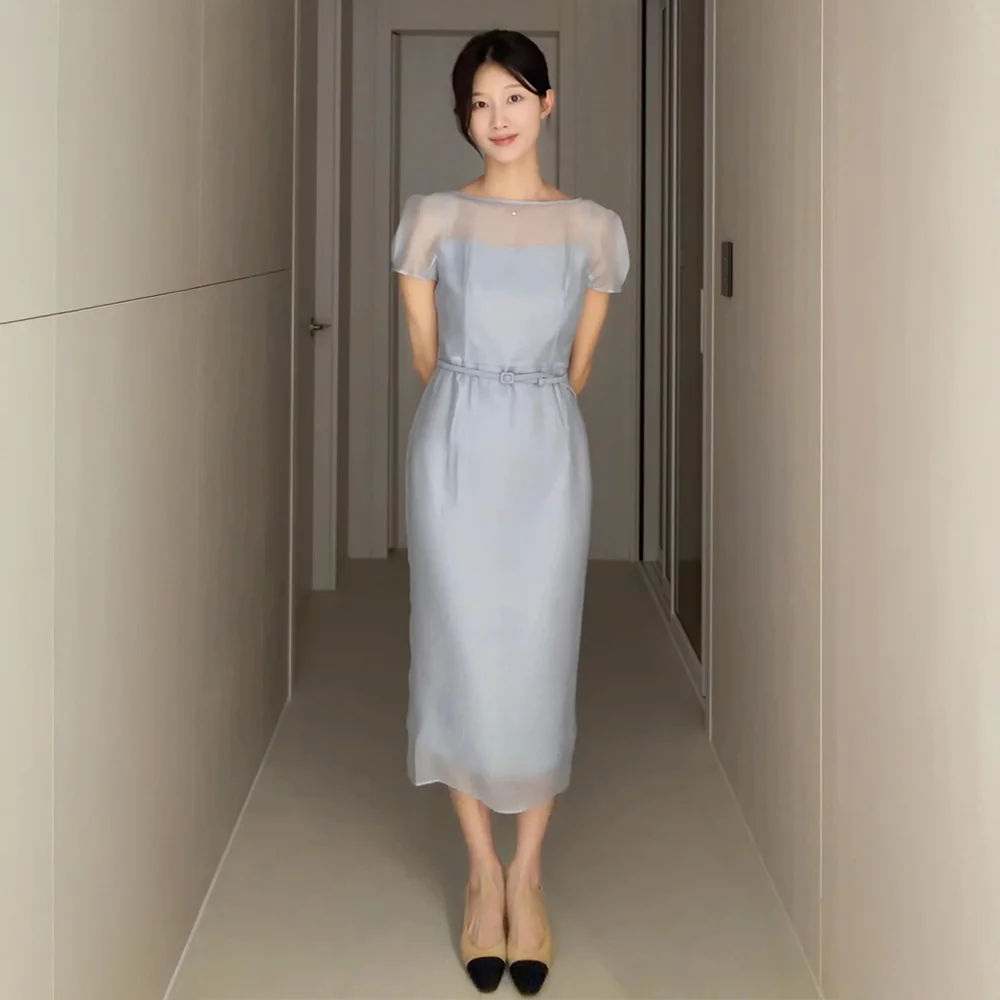 Chiffon Puff Cap-Sleeve Slim Dress / Blue(2color)