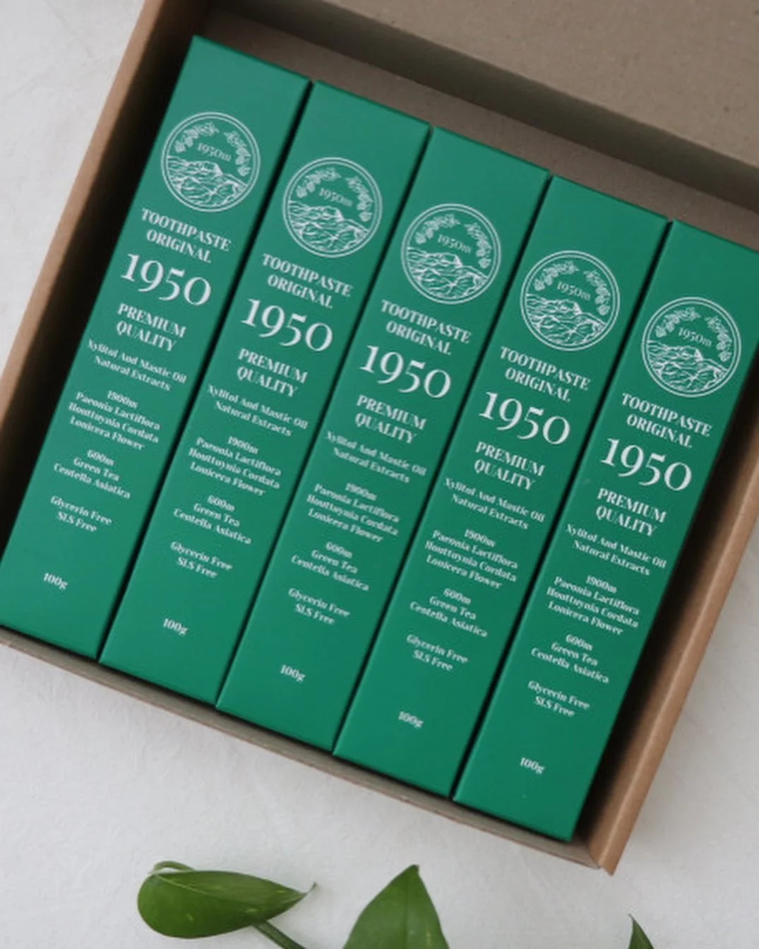 1950 濟州 牙膏 套裝 100g*5件裝