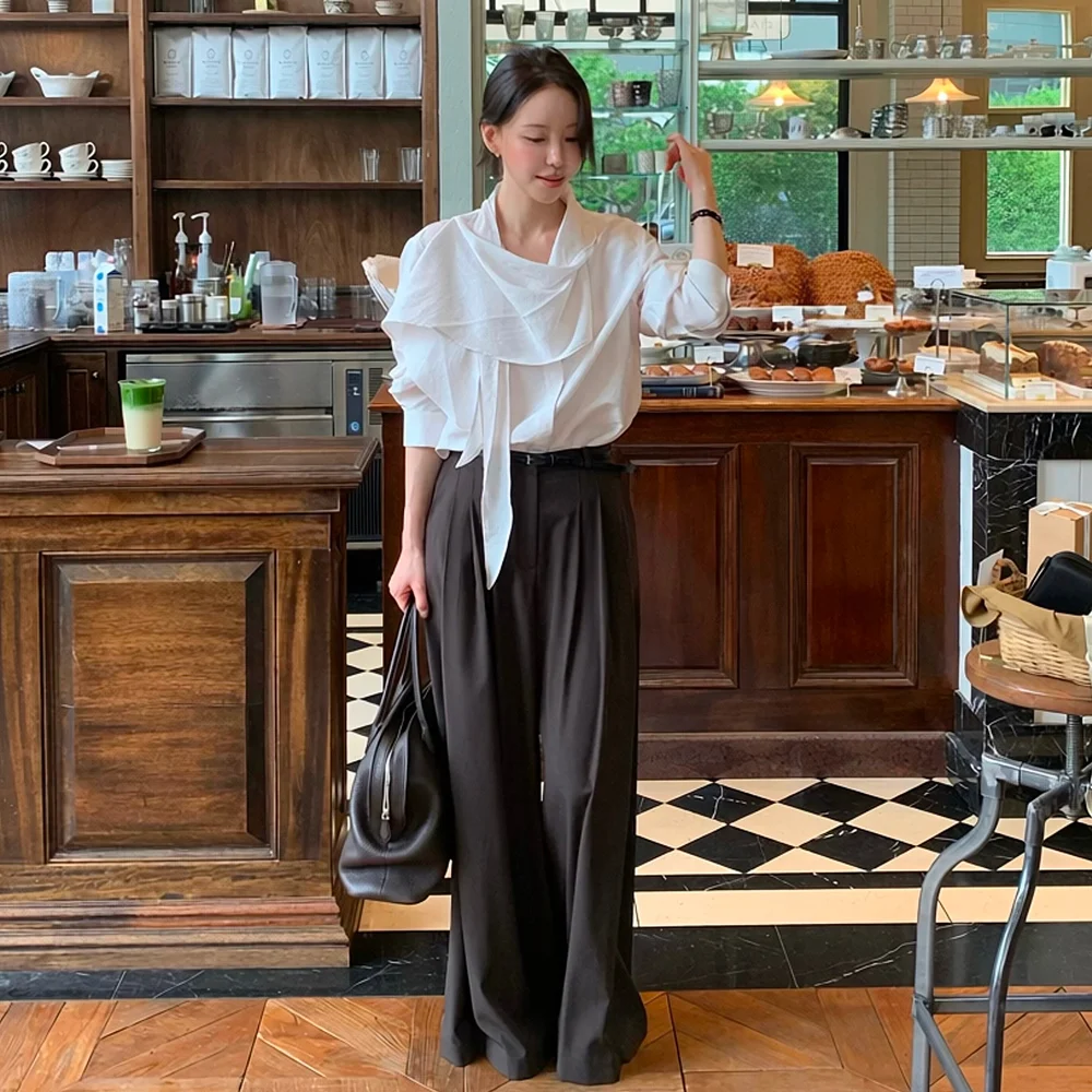 PLEATED WIDE PANTS_OV BROWN