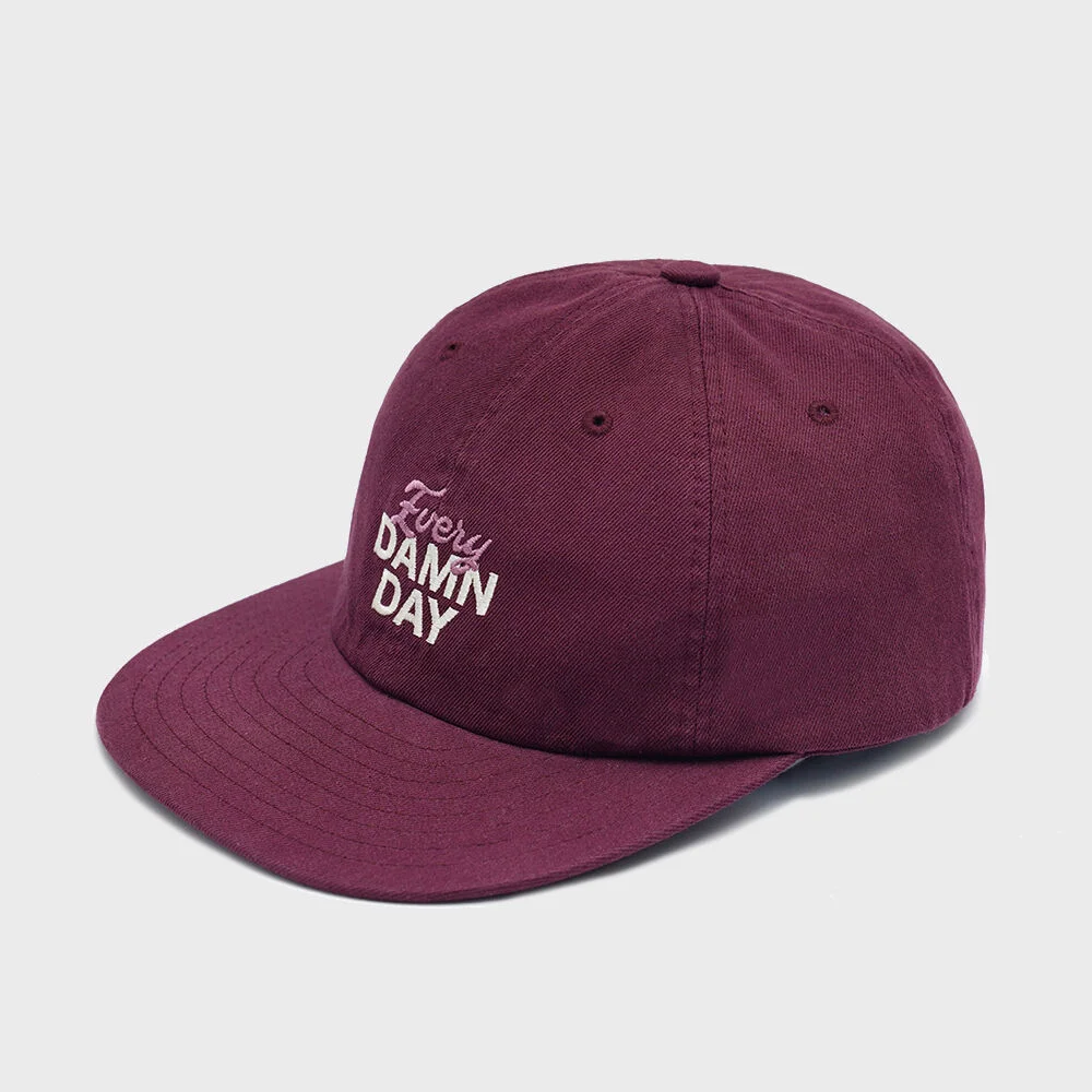 Every Damn Day Ball Cap - Purple
