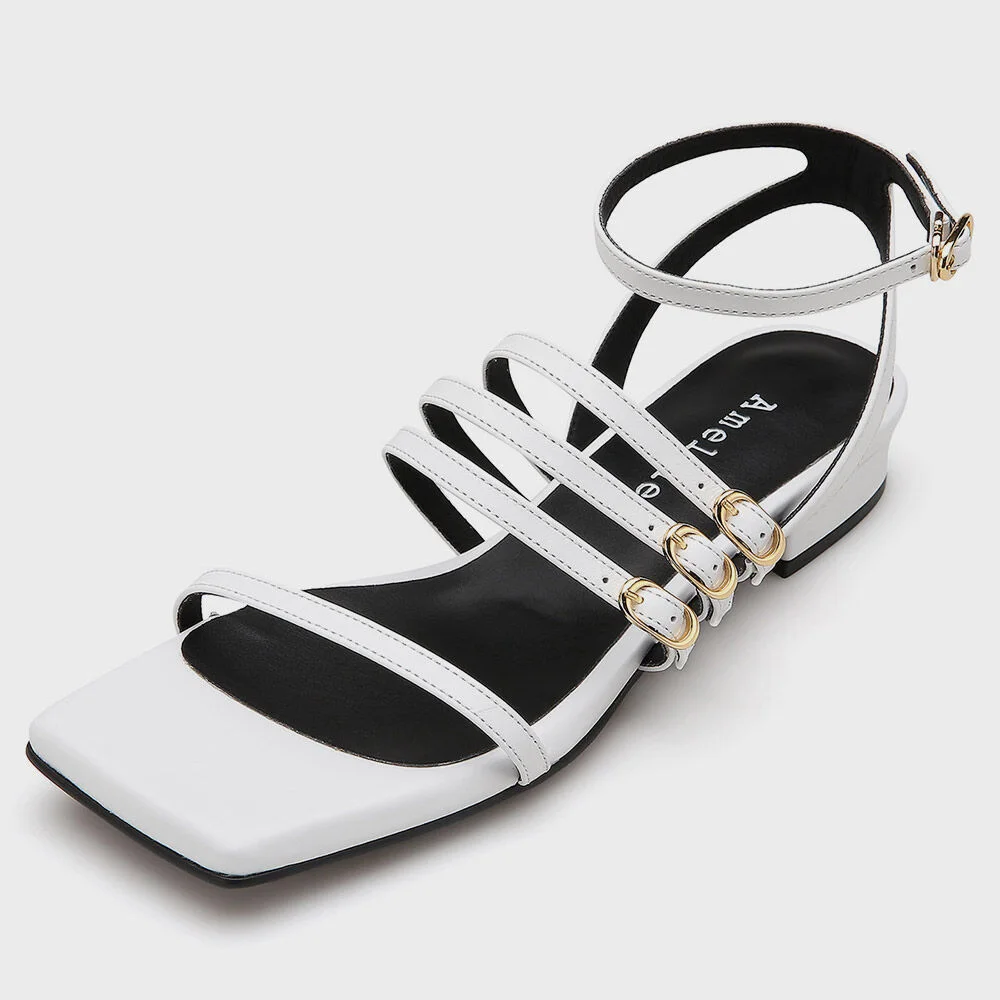 Sonia AM211178