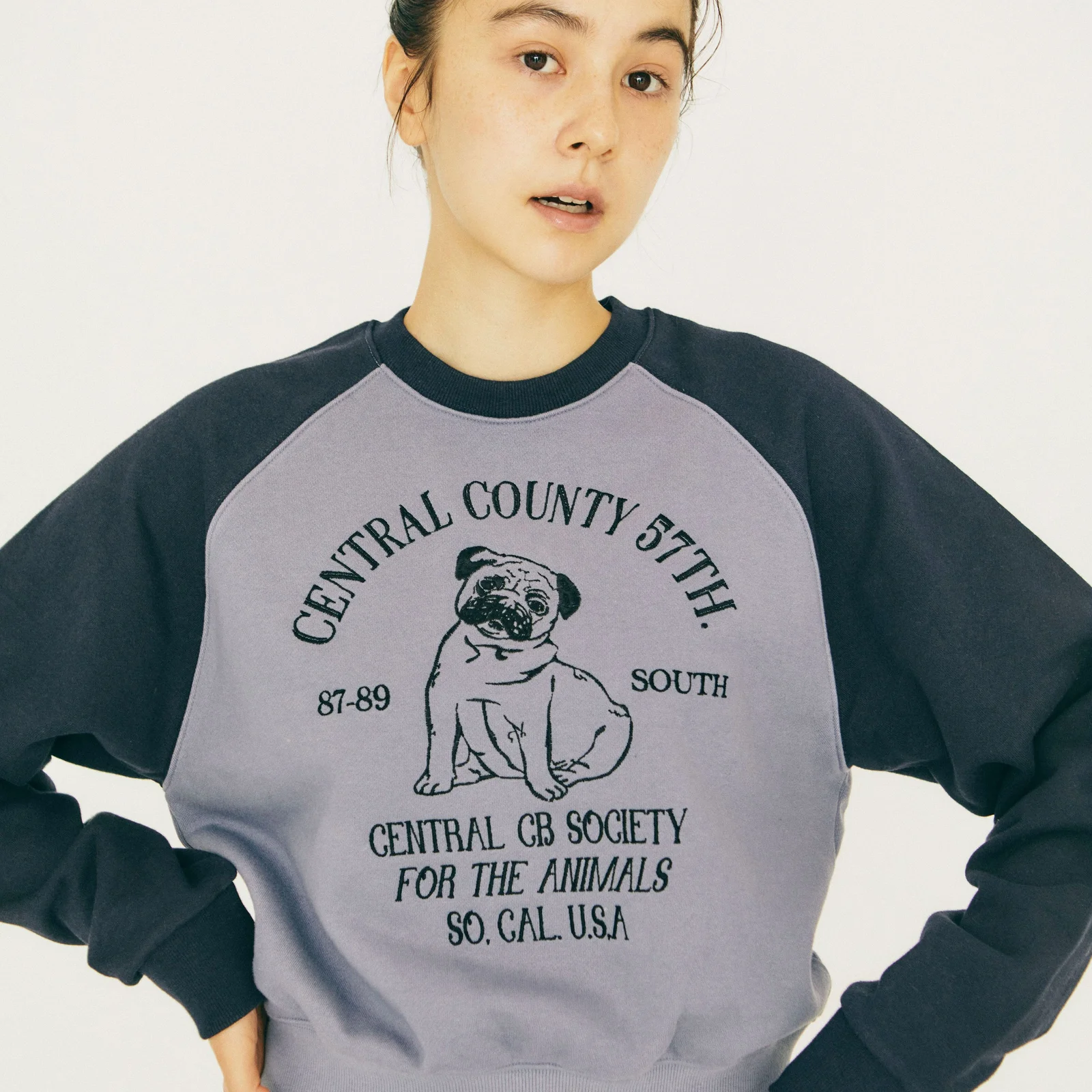 Animal Raglan mtm(AIRFORCE/NAVY)