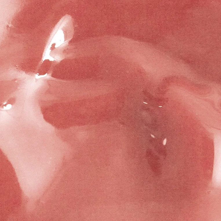 Gloy Tint Balm 09 Bebe啫喱