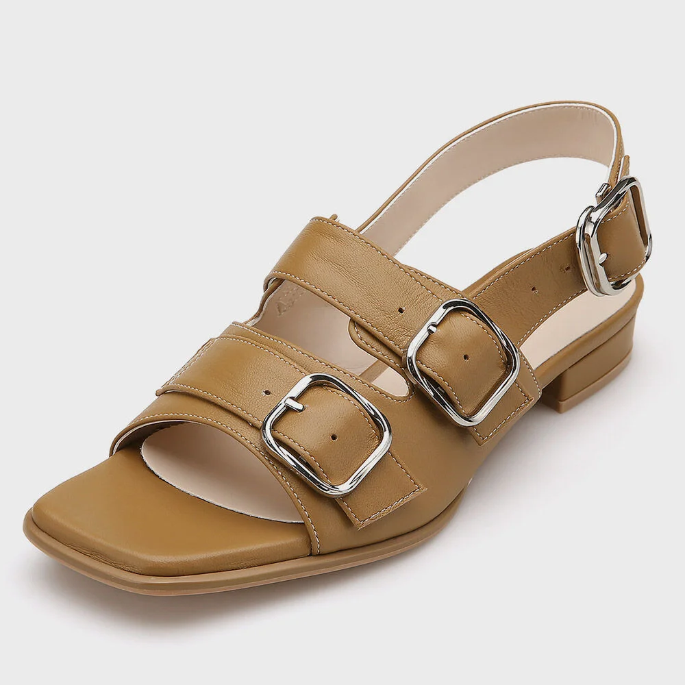 Anatol AM211142