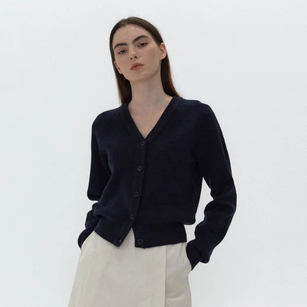 21AU V-NECK LINE RIBBED CARDIGAN (NAVY)