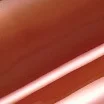 17 深色 椰子色