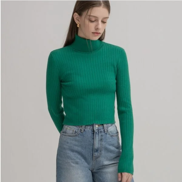 SIGNATURE CASUAL TURTLENECK KNITWEAR (R-N-T-5443)