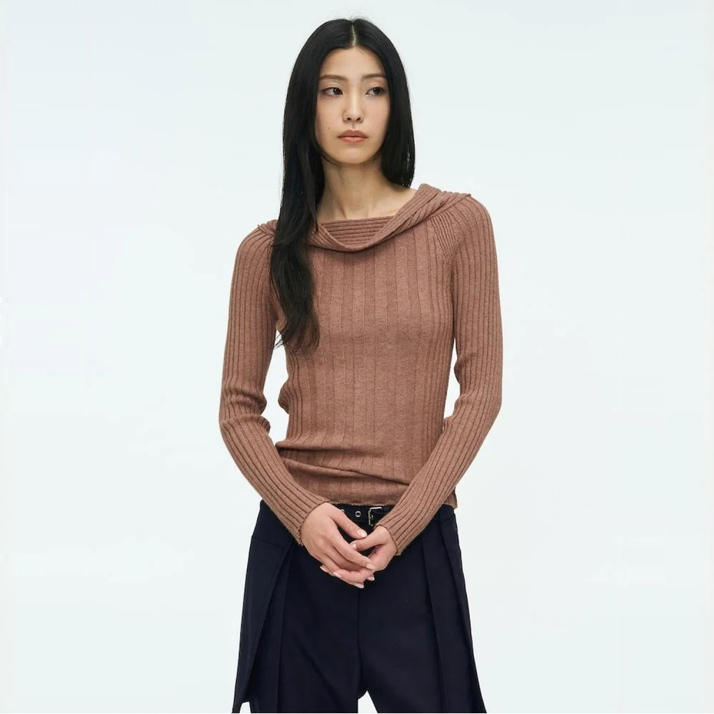 Tube Neck Rib Pullover Brown (AG6251A01D)