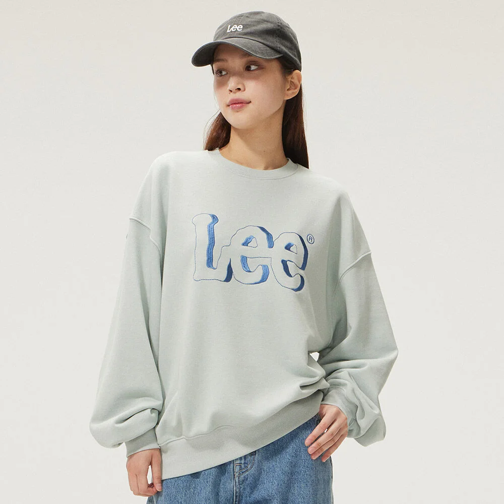 陰影 刺繡 標誌 衛衣 淺 綠色