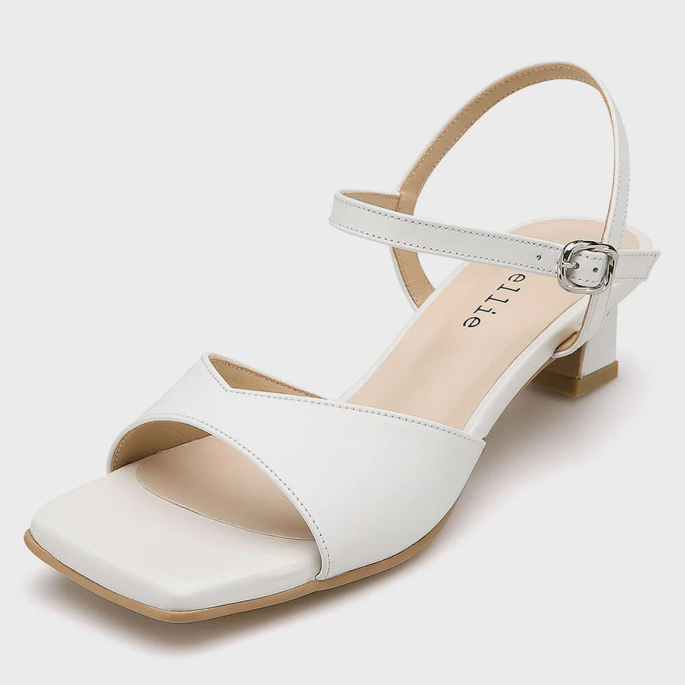 Ylenia AM221130