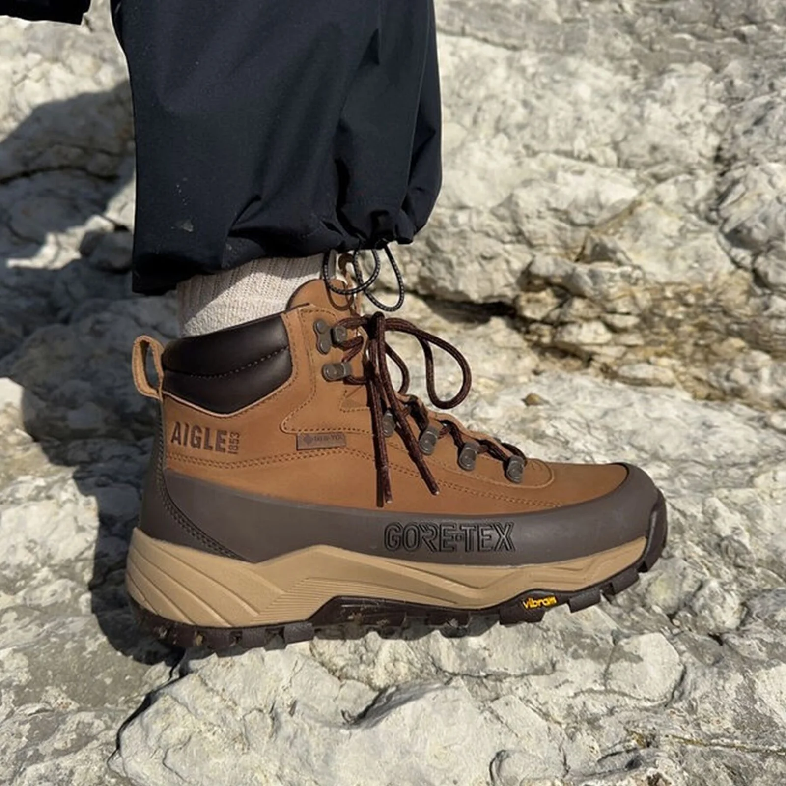 男裝 AIGLE OVERTRACK 鞋 ND691BRN