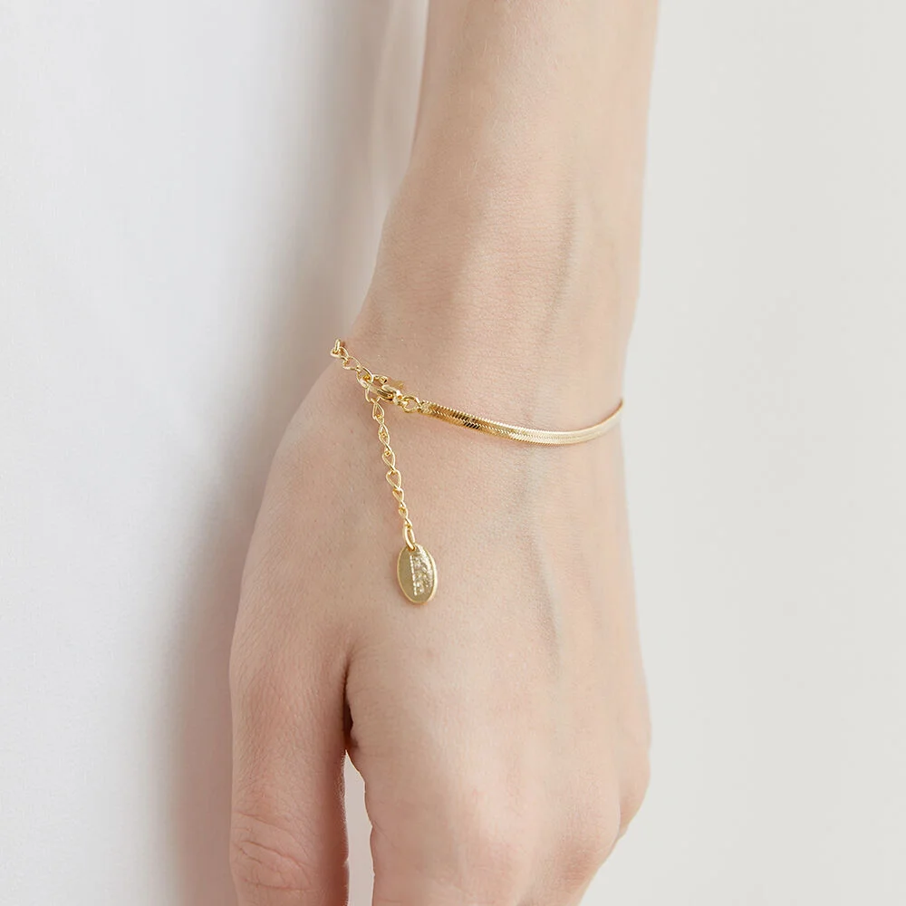 flat snake chain bracelet (W004_gold)