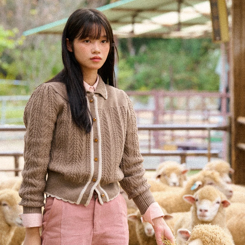 Wavy Collar Cable Merino Cardigan (Brown)